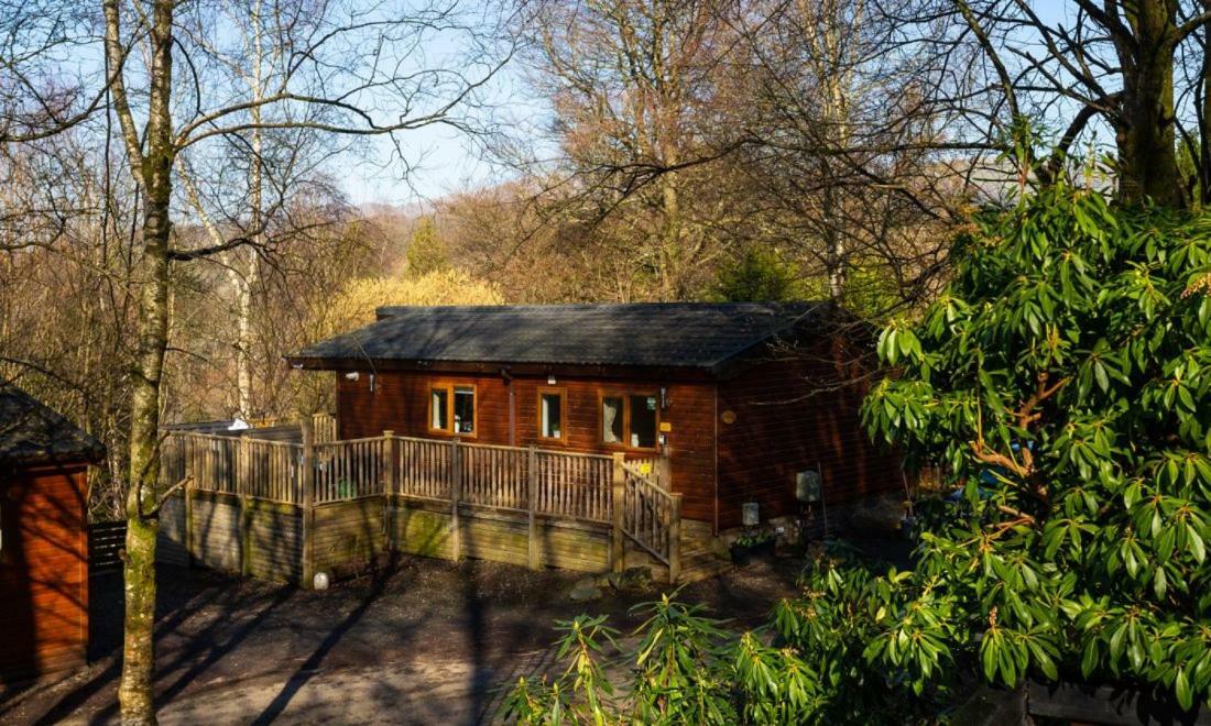 Owls House, White Cross Bay, Ambleside, Windermere Esterno foto