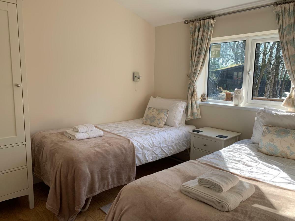 Owls House, White Cross Bay, Ambleside, Windermere Esterno foto