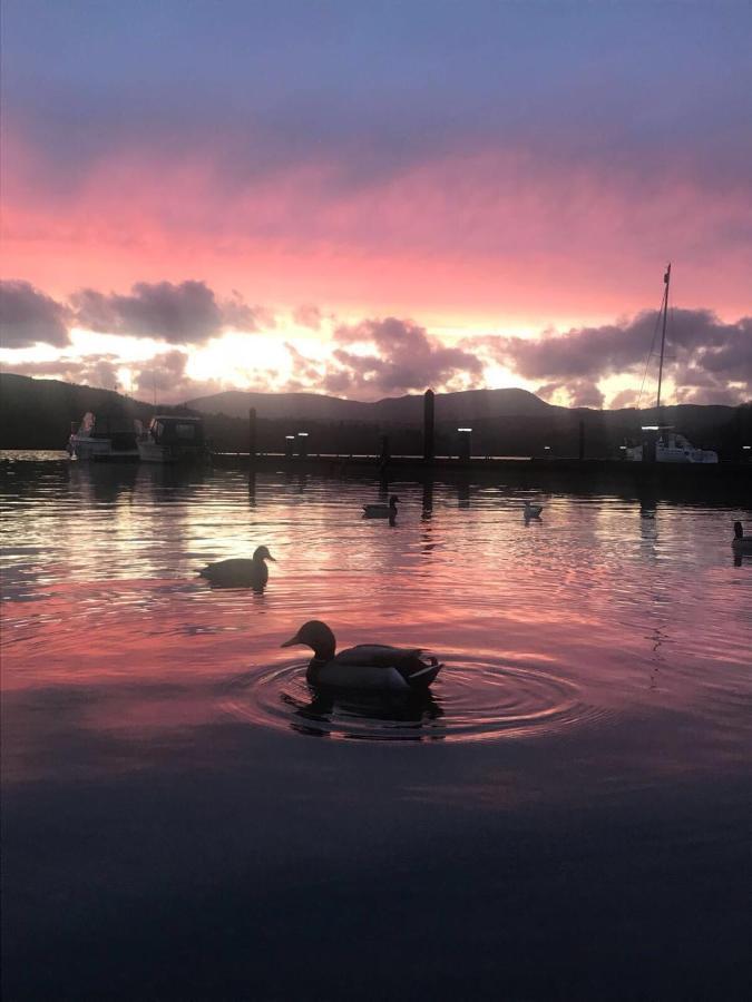 Owls House, White Cross Bay, Ambleside, Windermere Esterno foto