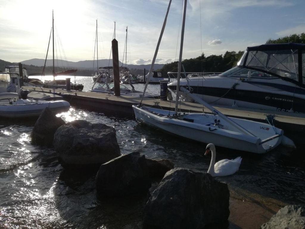 Owls House, White Cross Bay, Ambleside, Windermere Esterno foto